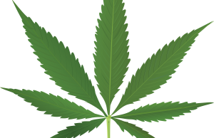 Marijuana Online: legalizzazione e sospetti