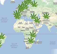 Mappamondo della marijuana