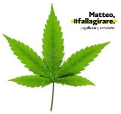 Matteo #fallagirare