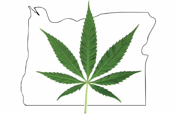 Marijuana Legale in Oregon - Measure 91