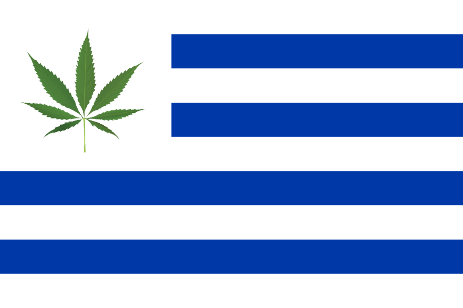 Risultati immagini per Cannabis legale in Uruguay…