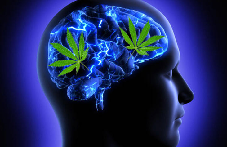 Marijuana: effetti sulla memoria