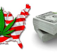 America e Marijuana: nuove legalizzazioni in vista?