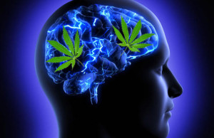 Marijuana: effetti sulla memoria